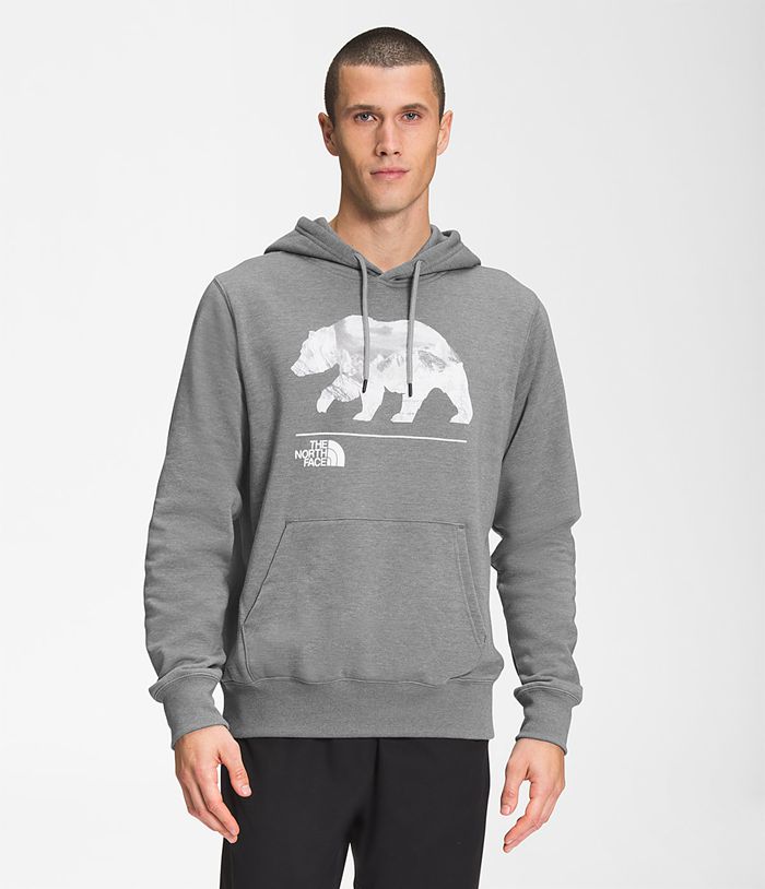 The North Face Mens Hoodie Bearscape Pullover 396HRQBFT - Grey